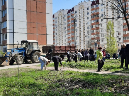 Депутаты горсовета приглашают жителей на субботники