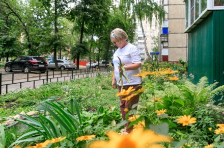 Совершенству нет предела – участники ТОС «Дружные соседи» делятся опытом благоустройства дворовых территорий