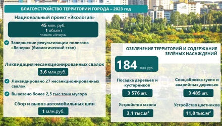 В  Липецке снесут 3,5 тысячи аварийных деревьев