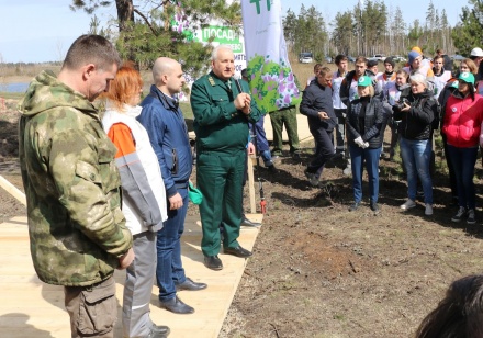 Липецкий горсовет присоединился к международной акции «Сад Памяти»