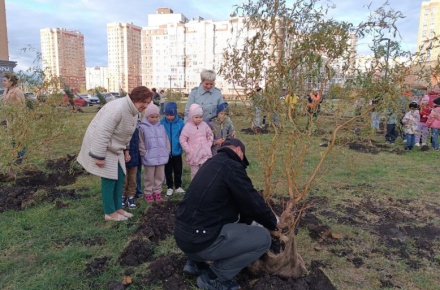 Депутаты горсовета высадили аллею в парке "Европейский"