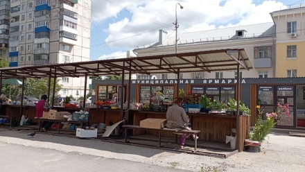 Садоводам в этом году организовали 163 места для реализации продукции в Липецке