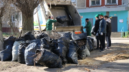 Почти 2000 предостережений выдано за нарушения Правил благоустройства Липецка 