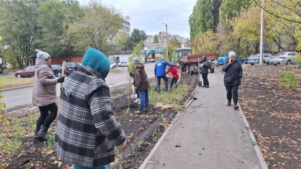 В округе Игоря Подзорова высадили более полусотни новых деревьев