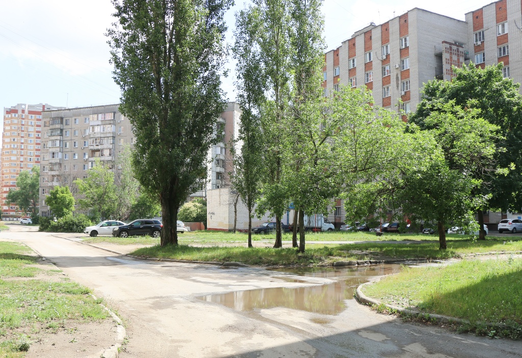 IMG_9384 ред.jpg