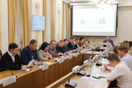 Депутаты горсовета обсудили развитие спорта в Липецке