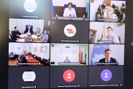 
                    Липецкий опыт работы депутатов с избирателями представили на межрегиональном совещании