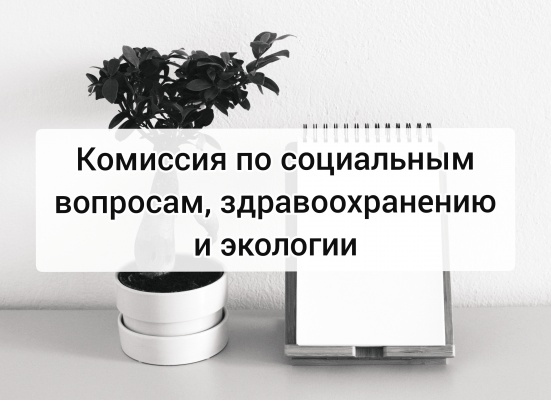 11 февраля соберется комиссия по социальным вопросам, здравоохранению и экологии