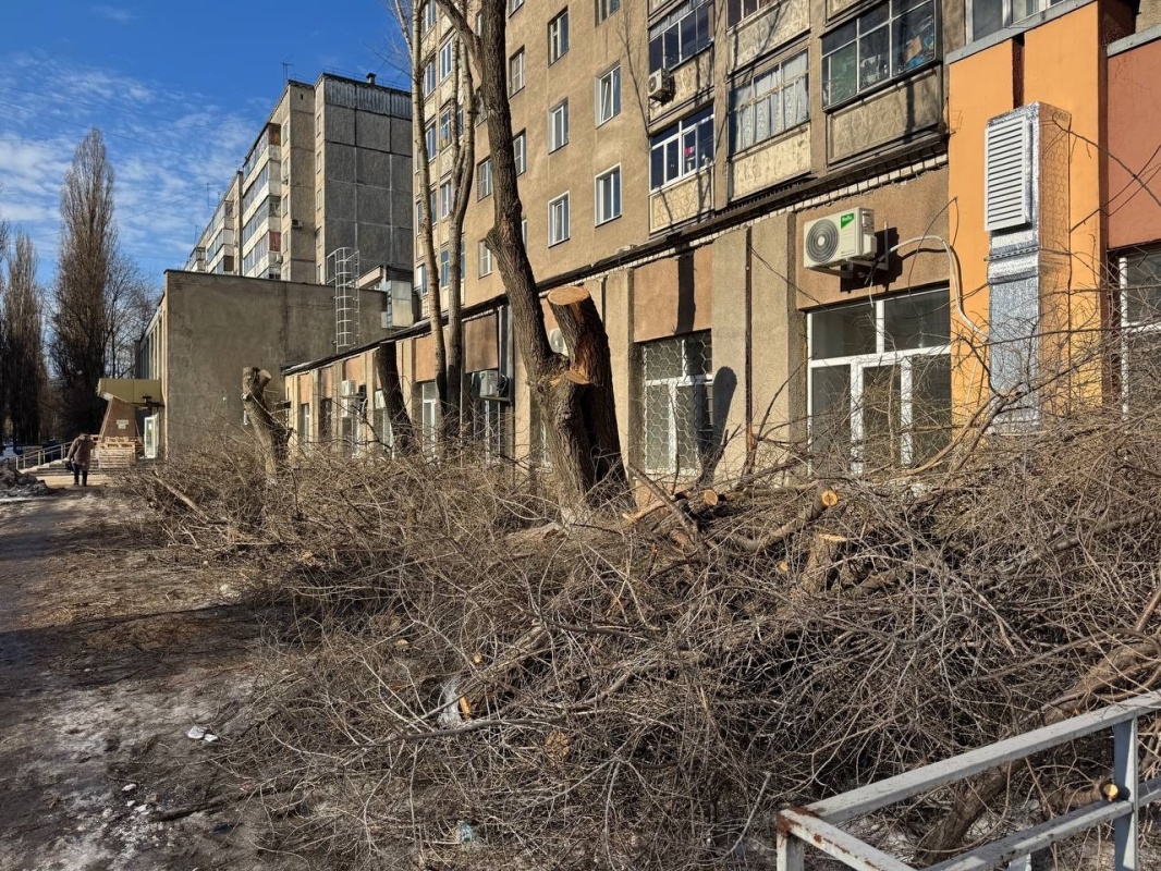 История одного обращения, которое стало общим успехом