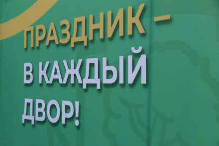 Молодежный парламент провел кинопоказ на округе Бориса Понаморева