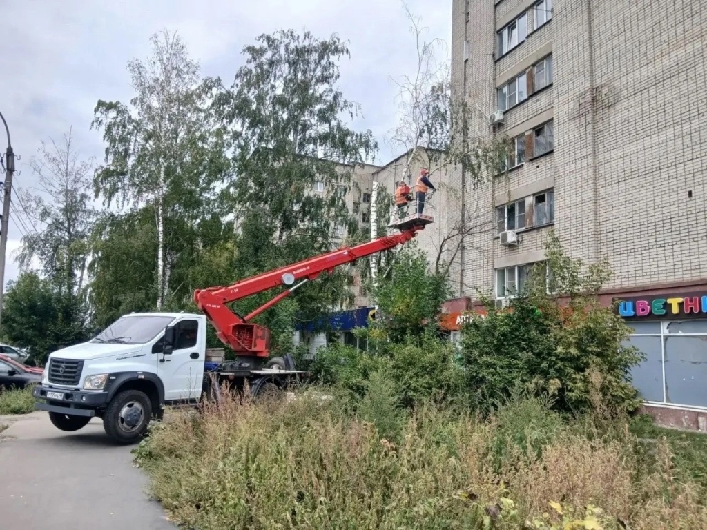 Пинаева.jpg