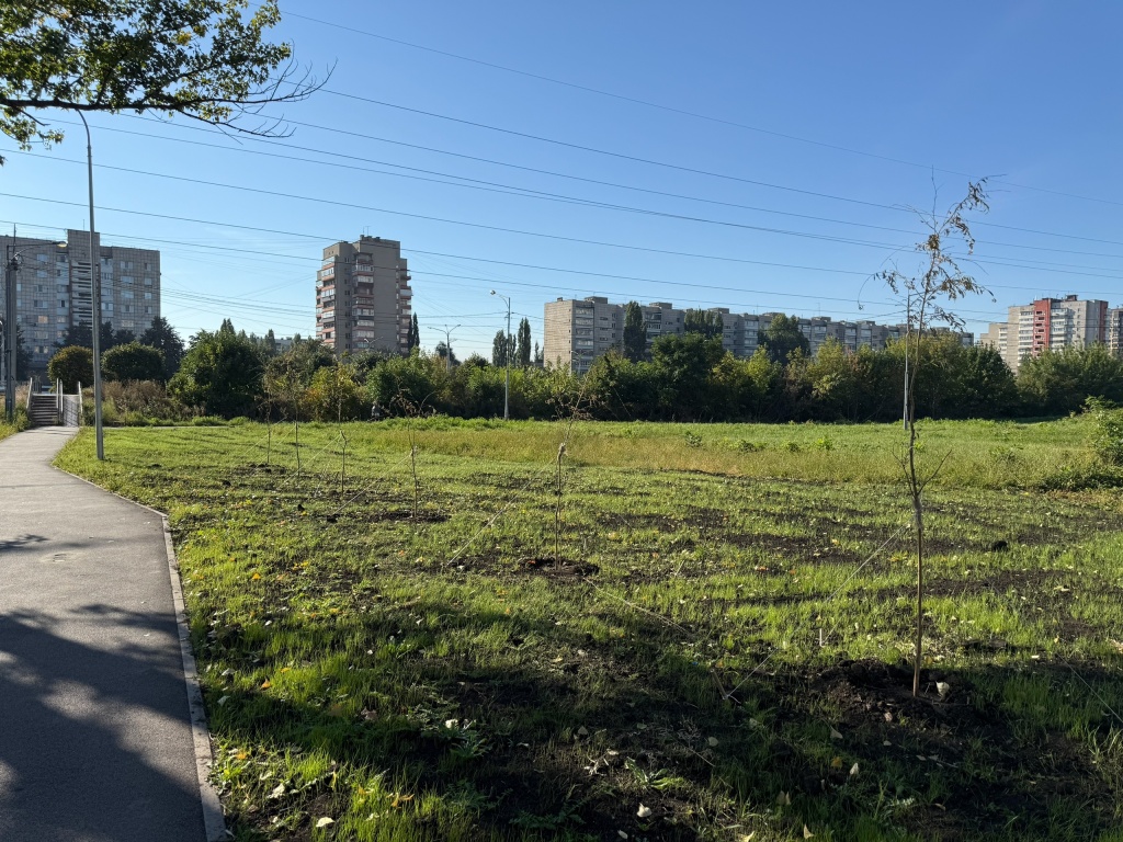 Погорелов ФКГС.jpg